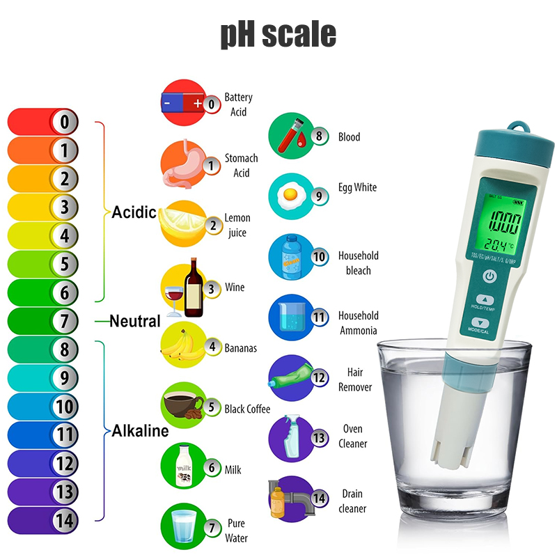 WESTTUNE Digital PH Meter 7 In - Ph Meter Digital Water Tester 评论和价格