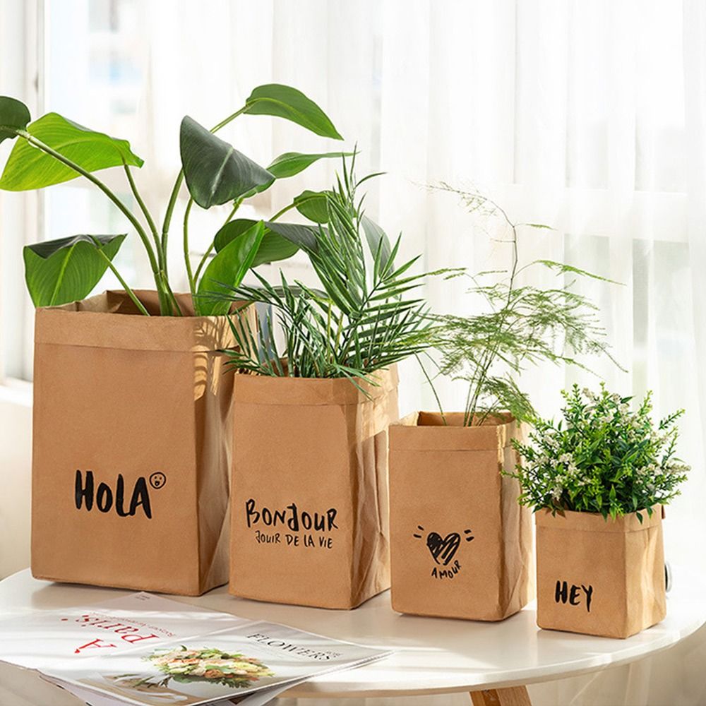 Reusable Kraft Paper Bag Large - Packaging 评论和价格